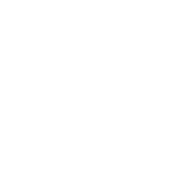 Bottleneck