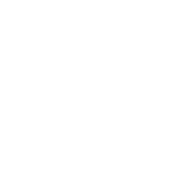Steamroller